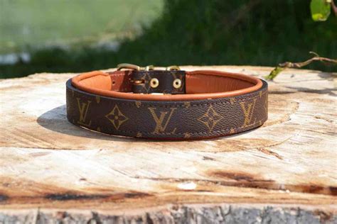 louis vuitton small dog collar.